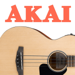 Acoustic Bass (AKAI)